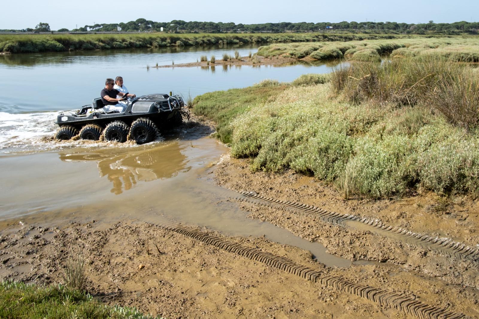 Anfibio Mosquitos 2026-04-101