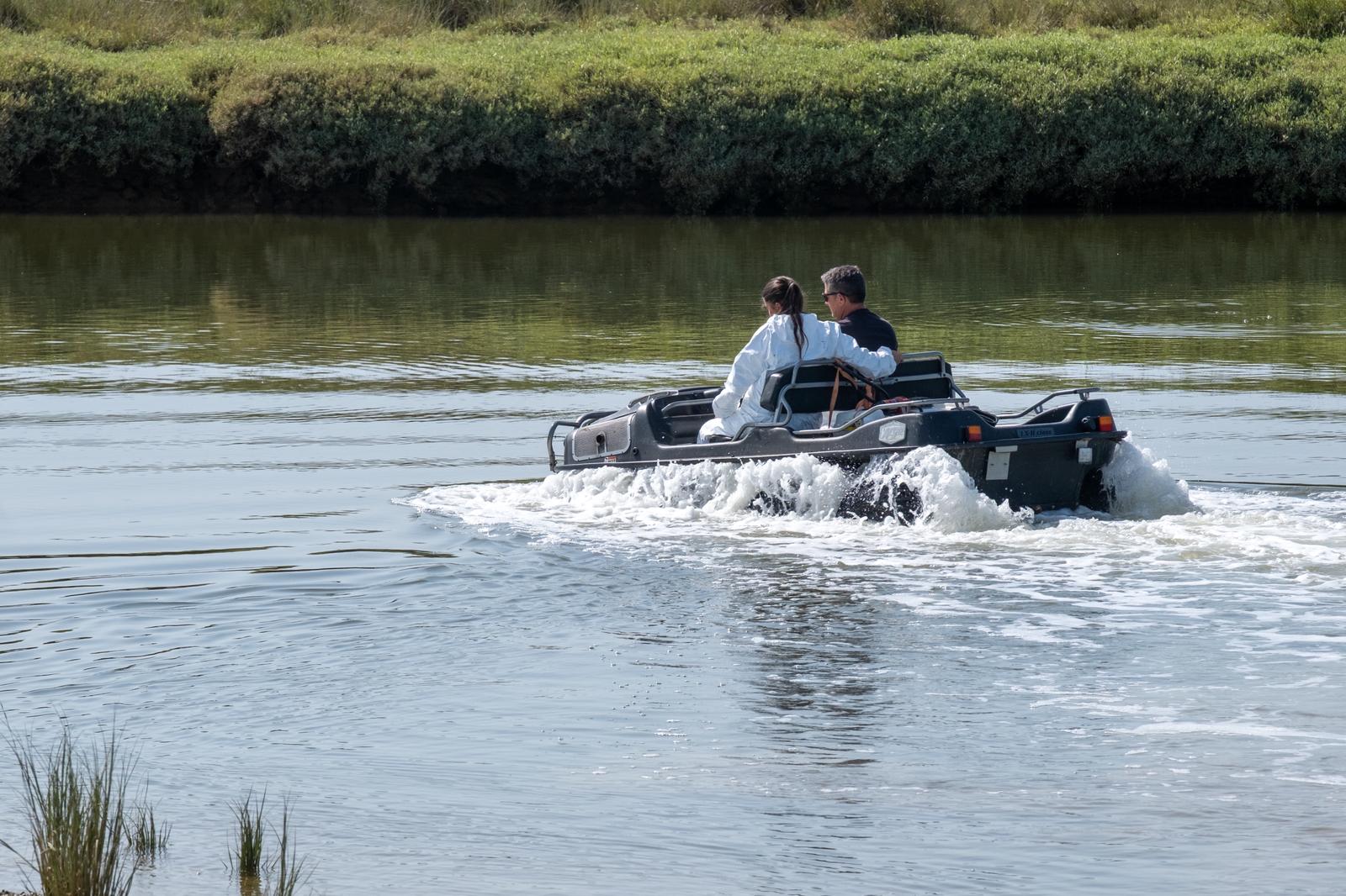 Anfibio Mosquitos 2026-04-106