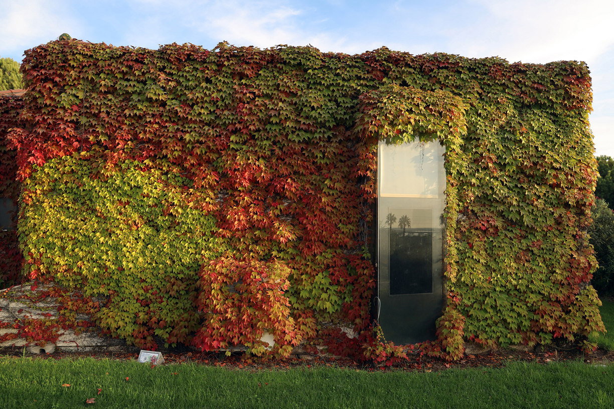 Segundo premio- Parque Botánico José Celestino Mutis-El Futuro y la esperanza de Juan Antonio Ruiz Rodriguez (1)