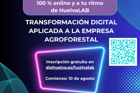 Cartel Curso de verano de  HuelvaLAB