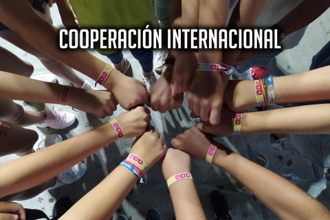 tesela principal cooperación internacional