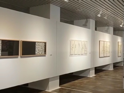 VideoCapture_20221109-141441