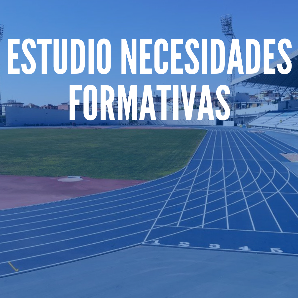 NECESIDADES FORMATIVAS