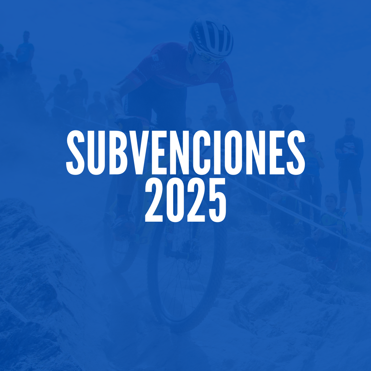 SUBVENCIONES 2025