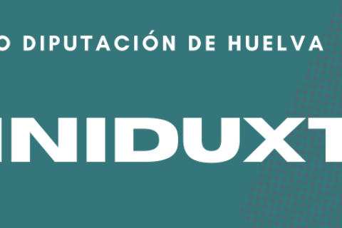MINIDUXTRI 26