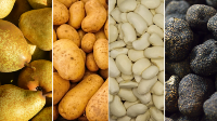 Cuatro alimentos