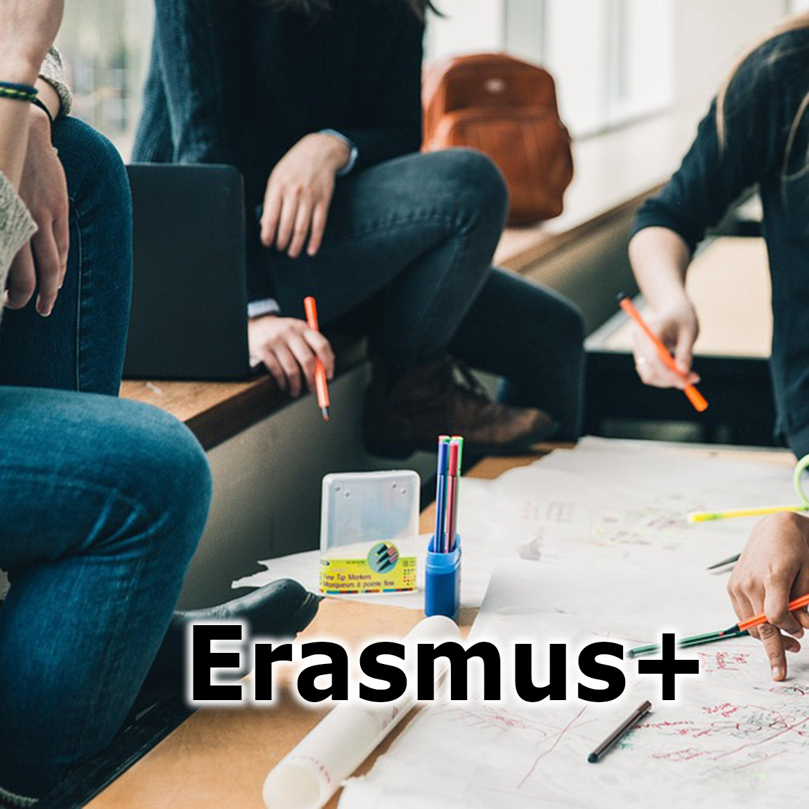 tesela erasmus