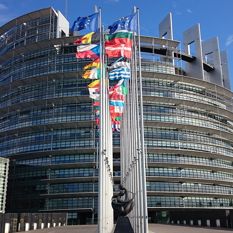 tesela Ofertas Instituciones EU