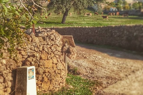 Foto portada Camino Vertical