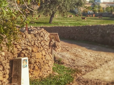 Foto portada Camino Vertical