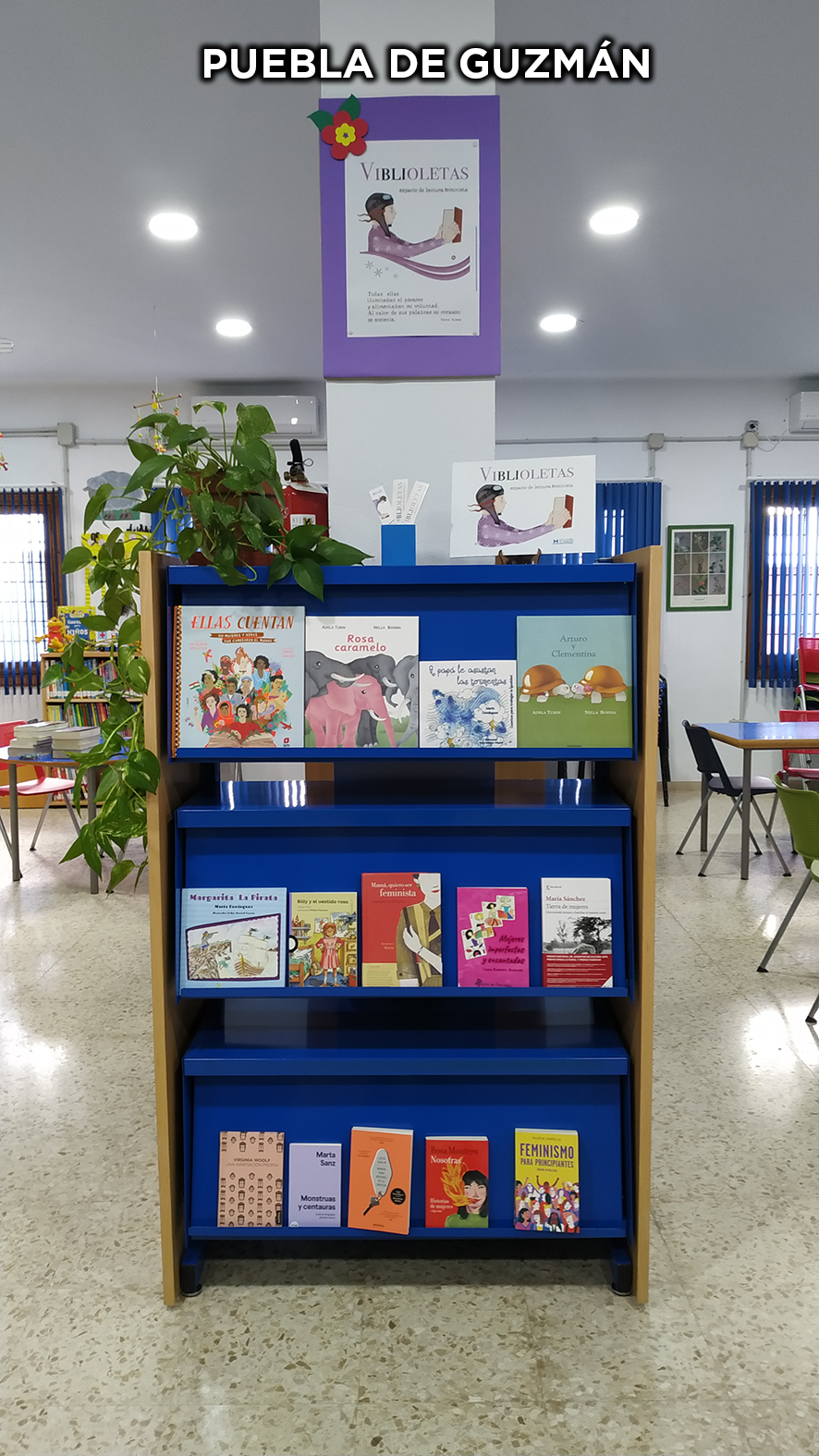 Puebla de Guzmán VIBLIOLETAS