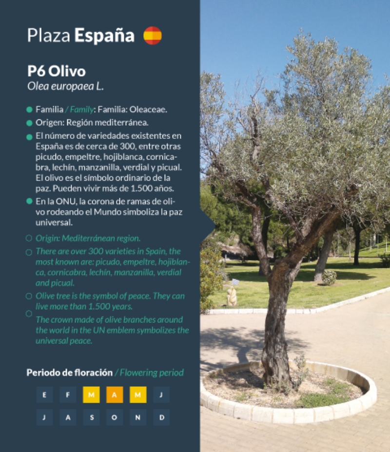 España