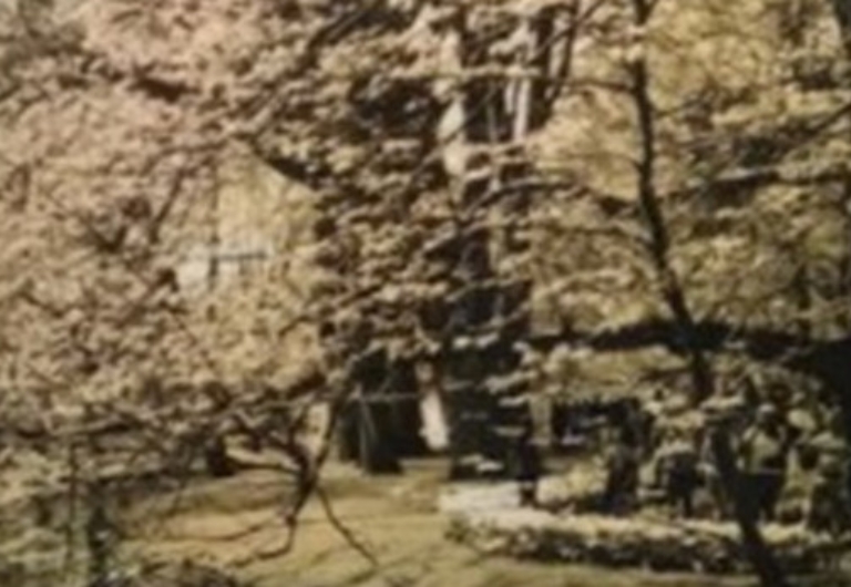 cartel provisional 1